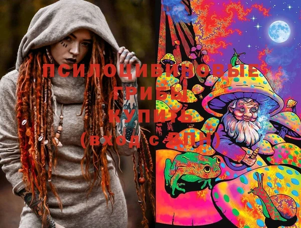 спайс Алексин